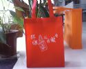 Non-Woven Shopping Bag